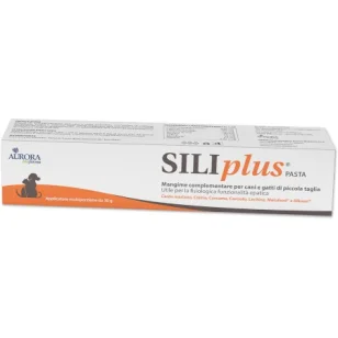 Aurora Biofarma Siliplus Pasta
