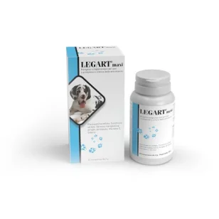 Aurora Biofarma Legart Maxi Compresse