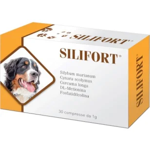 Aurora Biofarma Silifort Compresse