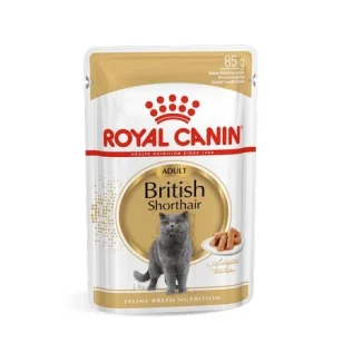 Royal Canin British Shorthair Umido