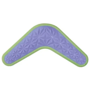 Record Gioco per cani galleggiante Freshness Boomerang