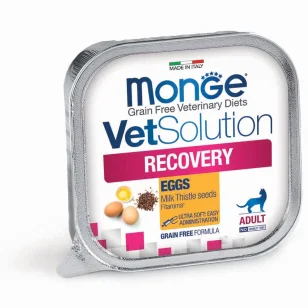 Monge Vet Solution Recovery Feline