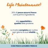 Almo Nature Life Maintenance Adult Cat (pesce azzurro) - 2