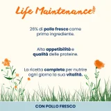 Almo Nature Life Maintenance Adult Cat (pollo) - 2