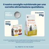 Almo Nature Life Maintenance Adult Cat (tacchino) - 3