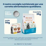 Almo Nature Life Maintenance Adult Cat (pesce azzurro) - 8