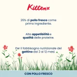 Almo Nature Kitten (pollo) - 7