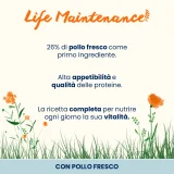 Almo Nature Life Maintenance Adult Cat (pollo) - 12