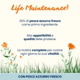Almo Nature Life Maintenance Adult Cat (pesce azzurro) - 12