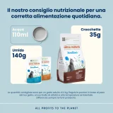 Almo Nature Holistic Sterilised (manzo) - 3