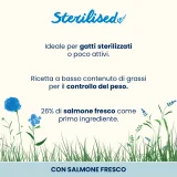 Almo Nature Holistic Sterilised (salmone) - 2