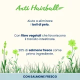 Almo Nature Holistic Anti Hairball (salmone) - 2
