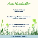 Almo Nature Holistic Anti Hairball (salmone) - 7