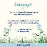 Almo Nature Urinary Help (salmone) - 2