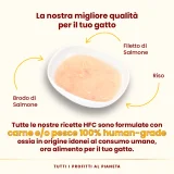 Almo Nature Hydration Help (brodo di salmone con filetti di salmone) - 3