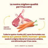Almo Nature HFC Complete per cani (agnello islandese con carote) - 3