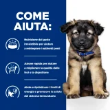 Hill's Prescription Diet i/d Puppy (pollo) - 3
