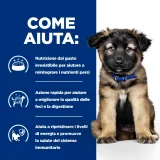 Hill's Prescription Diet i/d Puppy umido (pollo) - 4