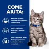 Hill's Prescription Diet i/d Kitten umido (pollo) - 4