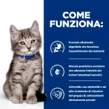 Hill's Prescription Diet i/d Kitten (pollo) - 5