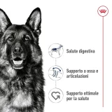 Royal Canin Maxi Adult - 2