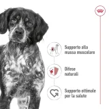 Royal Canin Medium Adult - 2