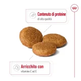 Royal Canin Medium Adult - 3