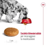 Royal Canin Medium Adult - 4