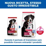 Hill's Science Plan Adult large (agnello)