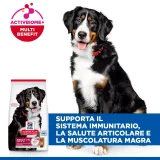 Hill's Science Plan Adult large (agnello)