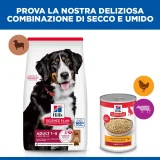 Hill's Science Plan Adult large (agnello)