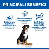 Hill's Science Plan Adult large (agnello)