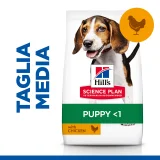 Hill's Science Plan Puppy medium (pollo)