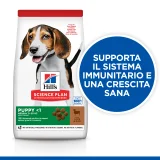 Hill's Science Plan Puppy medium (agnello)