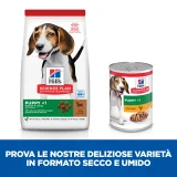 Hill's Science Plan Puppy medium (agnello)