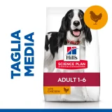 Hill's Science Plan Adult medium (pollo)