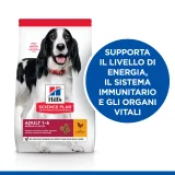 Hill's Science Plan Adult medium (pollo)