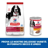 Hill's Science Plan Adult medium (agnello)