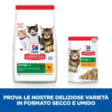 Hill's Science Plan feline Kitten al pollo