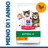 Hill's Science Plan feline Kitten al pollo