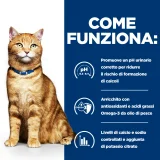 Hill's Prescription Diet c/d feline (pollo)