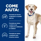 Hill's Prescription Diet d/d canine umido (anatra e patate)