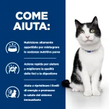 Hill's Prescription Diet i/d feline