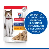 Hill's Science Plan feline Mature 7+ bocconcini al pollo