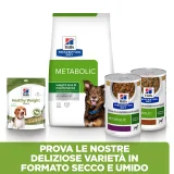 Hill's Prescription Diet Metabolic canine (pollo)