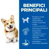 Hill's Science Plan Adult small & mini (pollo)