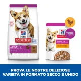 Hill's Science Plan Adult small & mini (agnello)