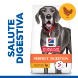 Hill's Science Plan Perfect Digestion Adult large (pollo e riso)