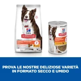 Hill's Science Plan Perfect Digestion Adult medium (pollo e riso)