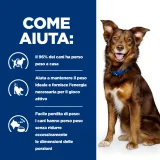 Hill's Prescription Diet Metabolic canine (agnello)